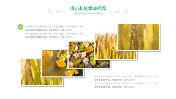 乡村振兴新农村旅游稻田水稻农业丰收PPT