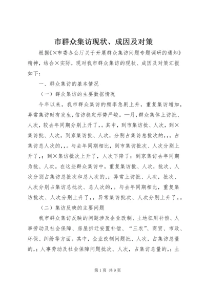 市群众集访现状、成因及对策 (2).docx