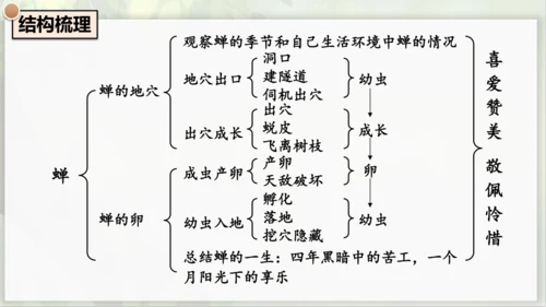 21《蝉》课件