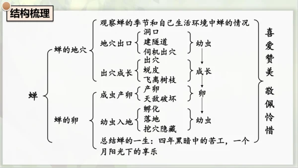 21《蝉》课件
