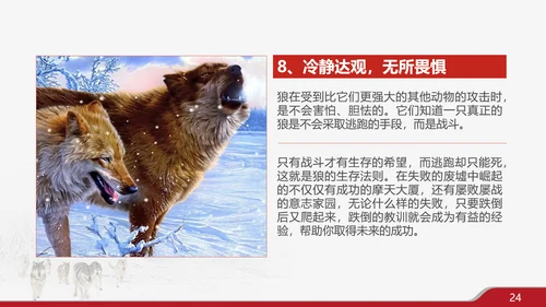 狼性文化企业培训PPT模板