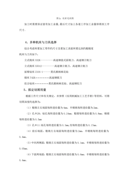 杠杆优质课程设计专项说明书.docx