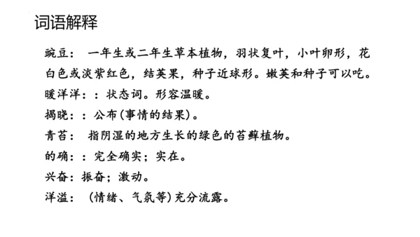 5《一个豆荚里的五粒豆》  课件