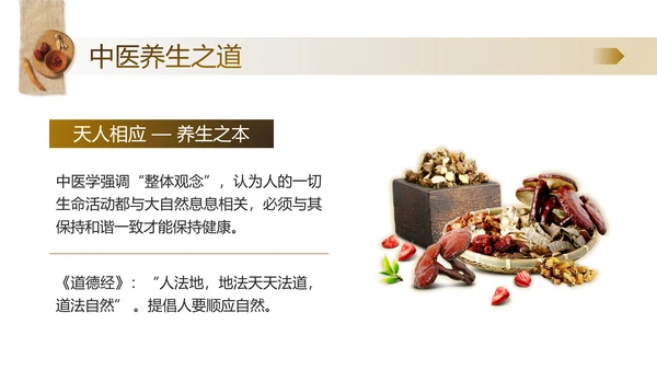 老人秋季养生，中医养生馆PPT模板