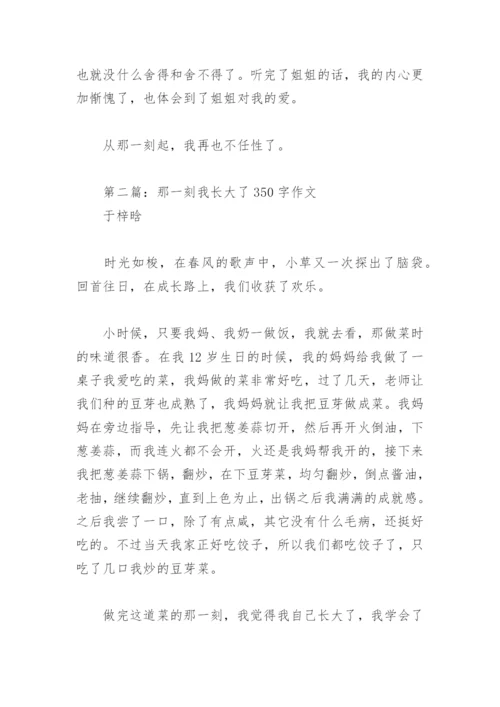 那一刻我长大了350字作文(精选14篇).docx