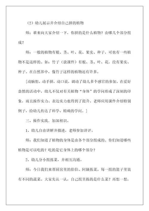 2022《植物的“身体》大班教案