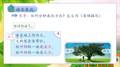 【核心素养】部编版语文二年级下册-17. 要是你在野外迷了路 第2课时（课件）