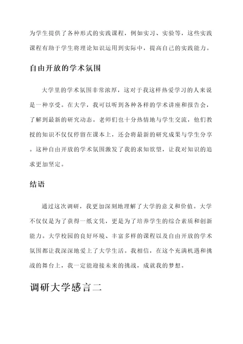 调研大学感言