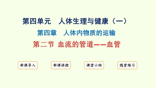 4.4.2血流的管道——血管-七年级生物下学期同步精品课件（2024人教版）(共30张PPT)