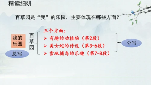 9《从百草园到三味书屋》课件(共33张PPT)2024-2025学年统编版语文七年级上册