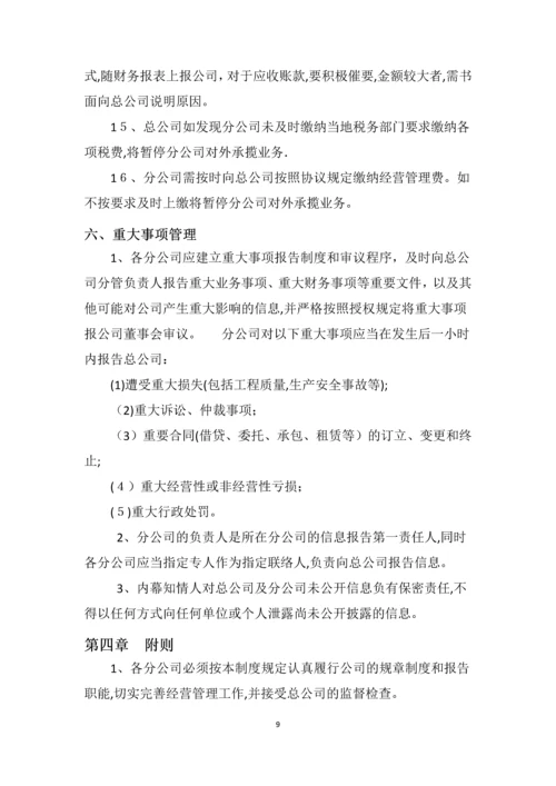 分公司管理制度.docx