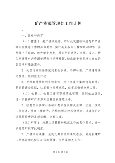 矿产资源管理处工作计划.docx