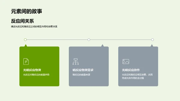 光合作用探索之旅