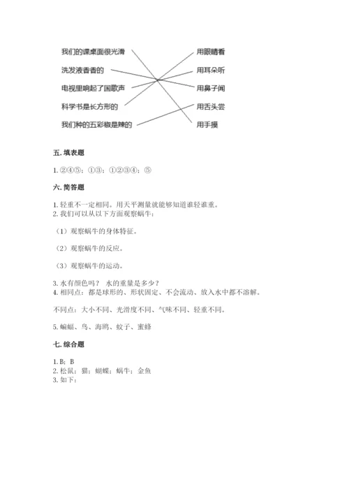 教科版小学科学一年级下册期末测试卷含完整答案【全国通用】.docx