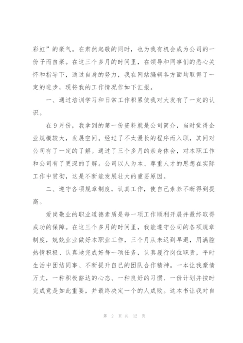 网站编辑转正述职报告.docx