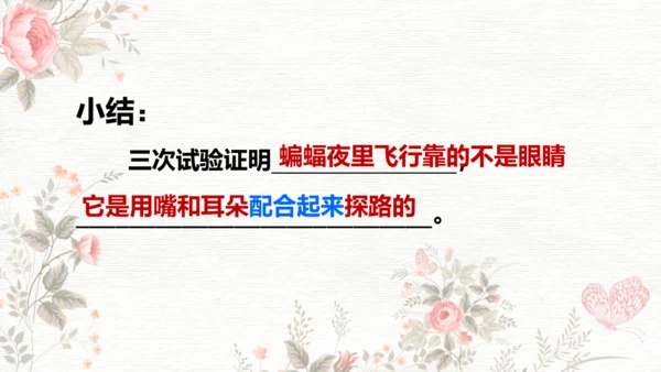 6夜间飞行的秘密  课件