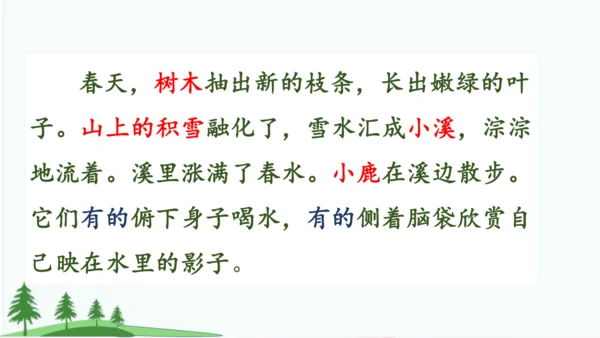 20.美丽的小兴安岭   课件