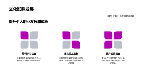 医保业企业文化实践PPT模板