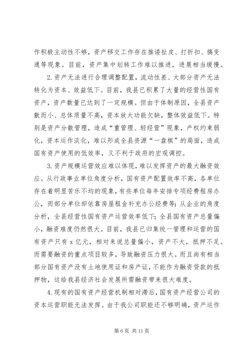 国有资产年度经营报告书(企业) (2).docx