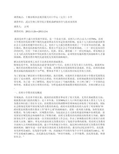 2021年寒假社会调查实践论文.docx