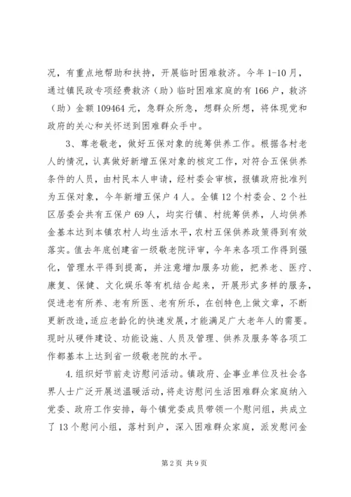 乡镇社会事务办工作总结.docx