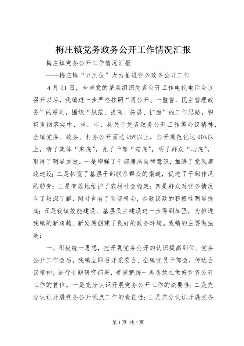 梅庄镇党务政务公开工作情况汇报.docx