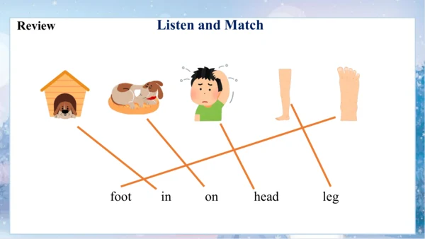 Module10 Unit1 This is his head 课件 (共57张PPT)