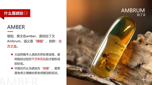 典雅轻奢琥珀藏品专业知识讲座PPT模板
