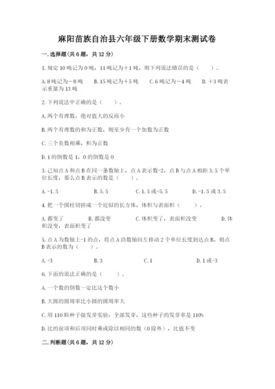 麻阳苗族自治县六年级下册数学期末测试卷含精品答案.docx