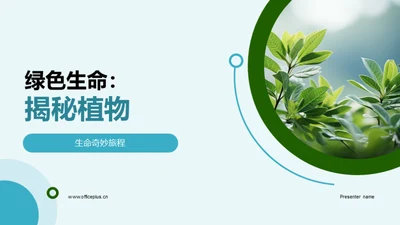 绿色生命：揭秘植物