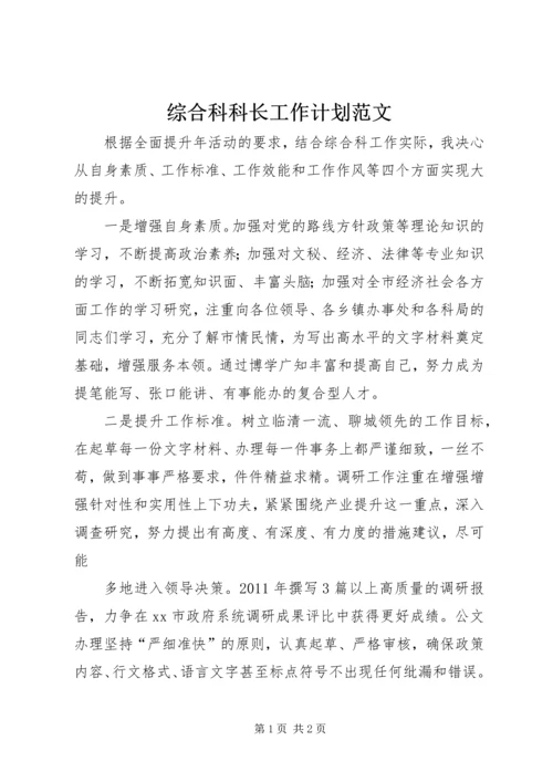 综合科科长工作计划范文.docx