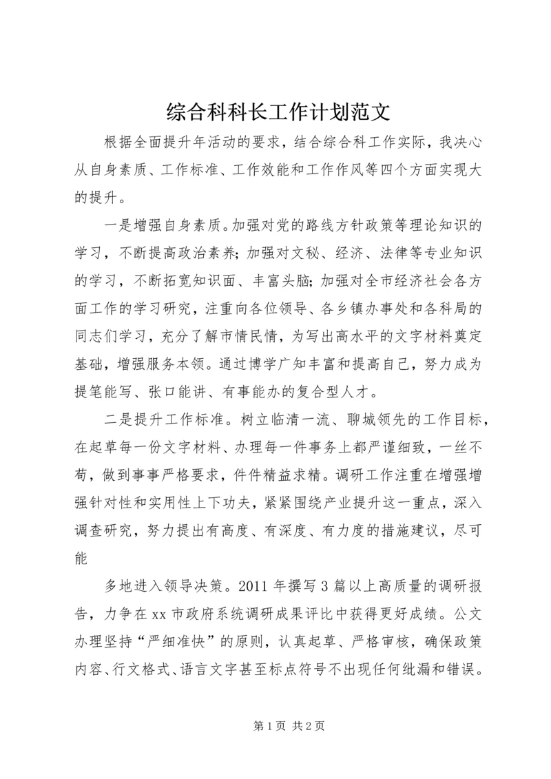 综合科科长工作计划范文.docx