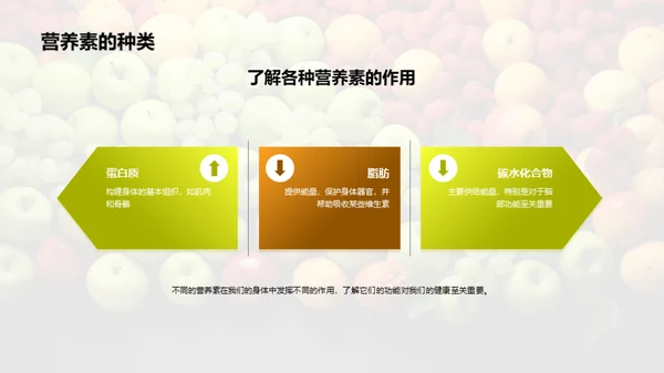 营养饮食与健康生活
