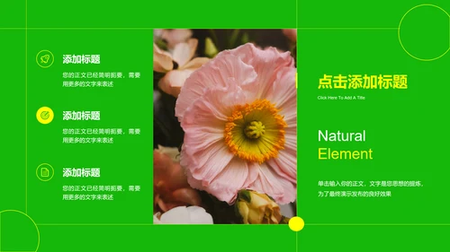 绿色小清新花卉PPT通用演示模板
