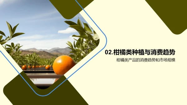 柑橘产业未来展望