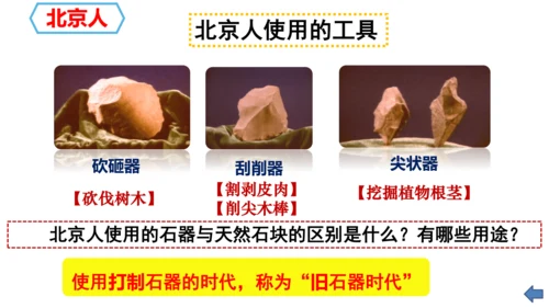 第1课 中国境内早期人类的代表—北京人 课件