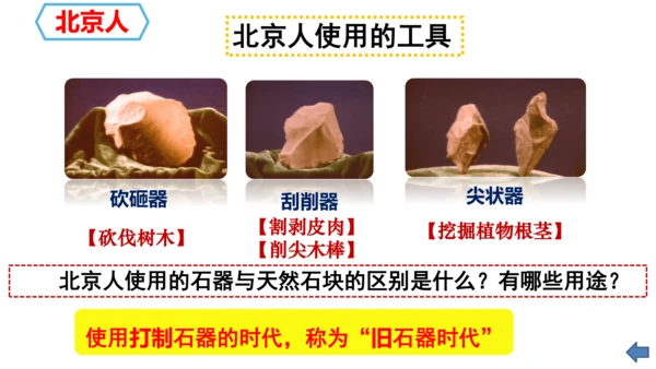 第1课 中国境内早期人类的代表—北京人 课件