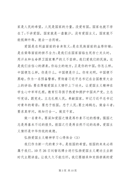 弘扬爱国主义精神学习心得体会.docx