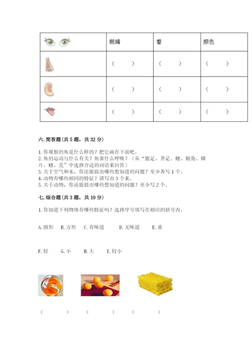 教科版小学科学一年级下册期末测试卷附答案【预热题】.docx