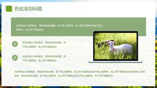 乡村振兴精准扶贫，特色农业项目计划书通用PPT模板