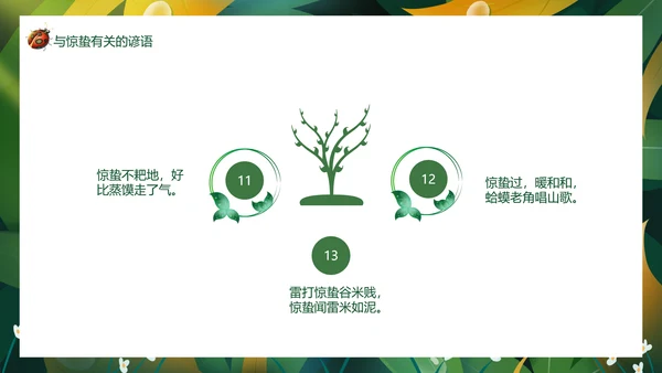 七星瓢虫惊蛰PPT模板