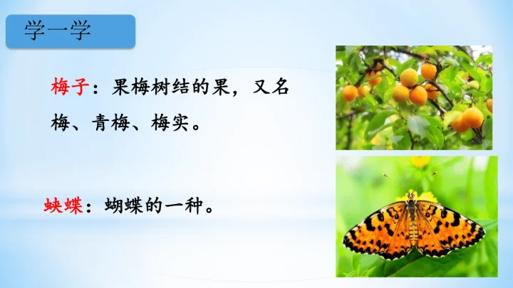 统编版四年级下册语文同步备课系列四时田园杂兴（其二十五）(教学课件)