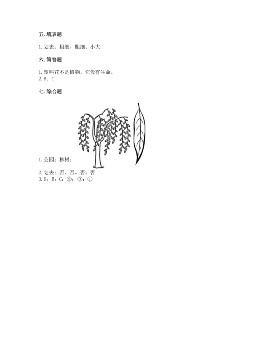 教科版科学一年级上册第一单元《植物》测试卷重点.docx