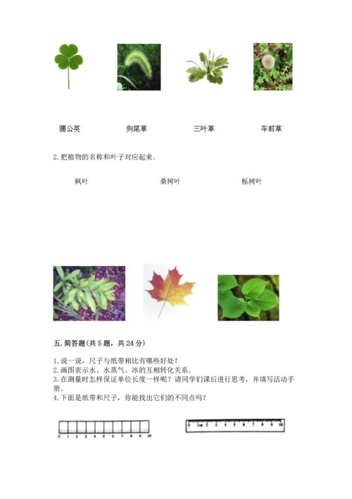 教科版一年级上册科学期末测试卷1套.docx