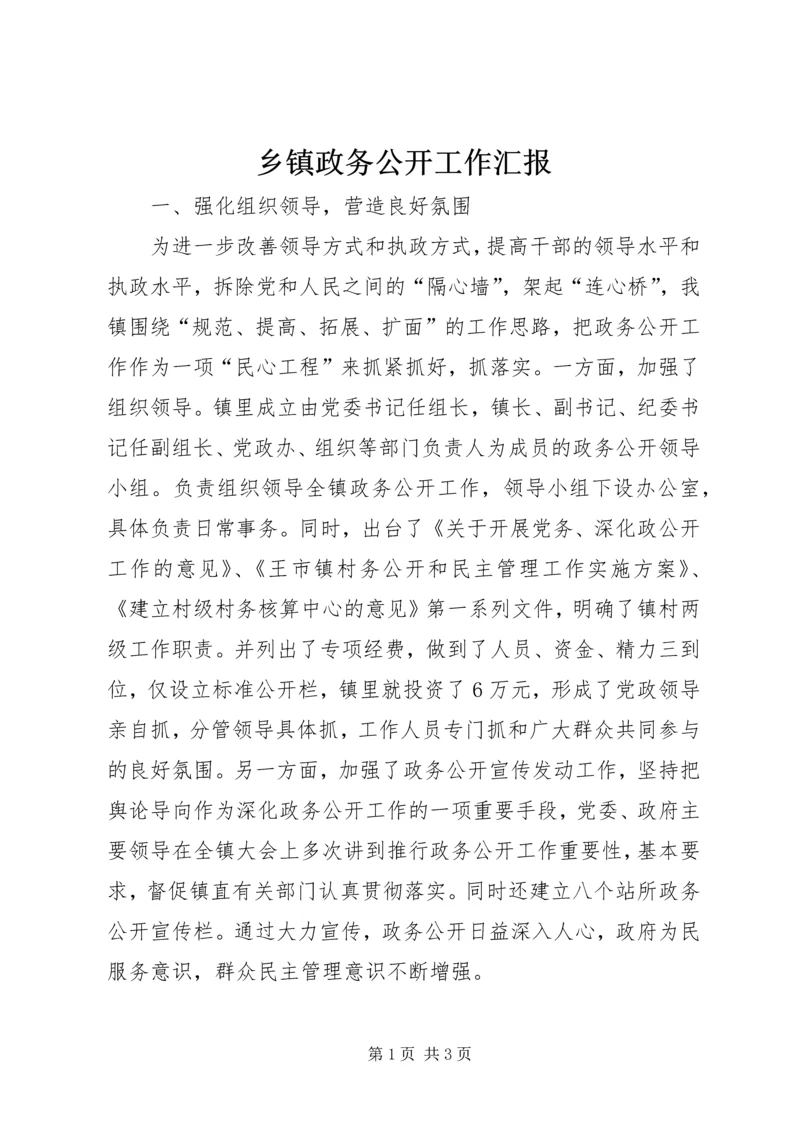 乡镇政务公开工作汇报_1.docx