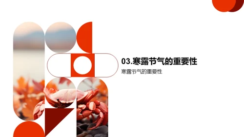 寒露节气文化探究