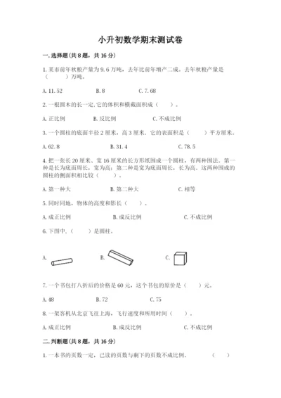 小升初数学期末测试卷精品（实用）.docx