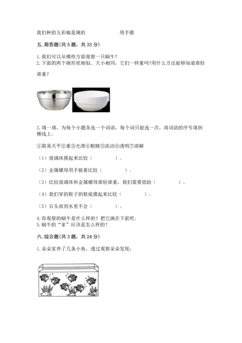 教科版一年级下册科学期末测试卷及答案（最新）.docx