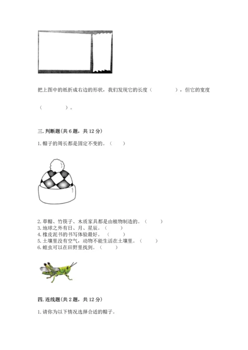 教科版科学二年级上册《期末测试卷》含解析答案.docx