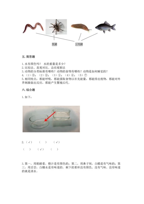 教科版一年级下册科学期末测试卷附答案【巩固】.docx
